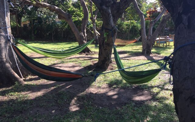 Cape Maclear EcoLodge