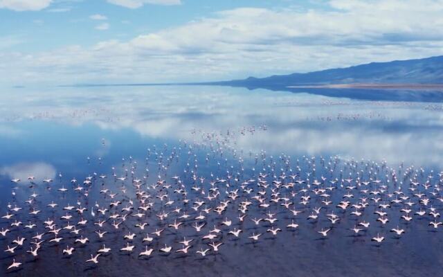 Africa Safari Lake Natron Camping