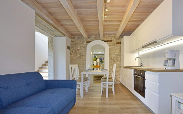 Hibiskus Tadini in Tadini