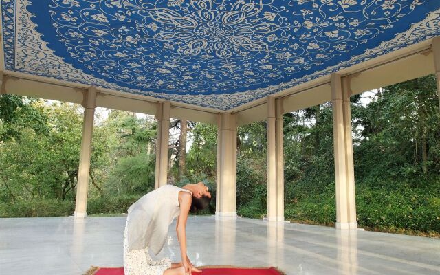 Ananda In The Himalayas