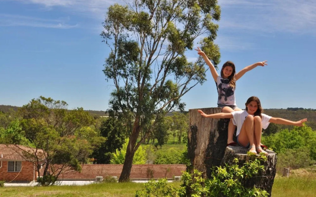 Poplars at Mittagong