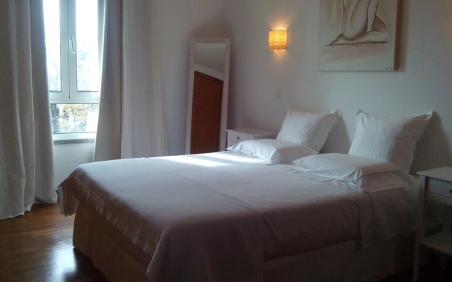 Sweet Home Funchal Center