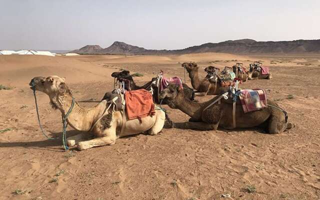 Bivouac Sahara Relax