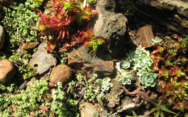 The Village in Hatfield