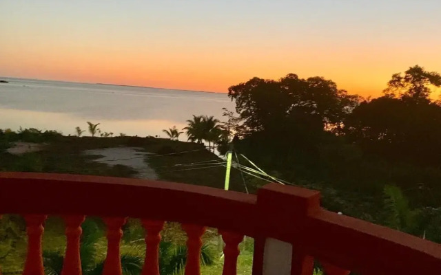 Chupaflor - Alexander Luxury & Executive Suites