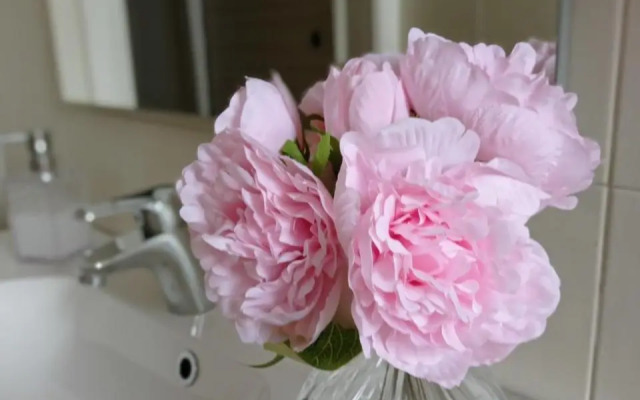 House Piazza Vittoria