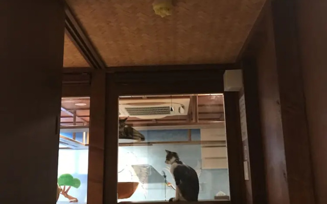 Cat Spa & Cat Ryokan Neco Republic Osaka