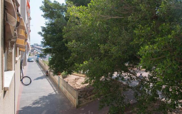 113 Beach and Trees - Alicante Holiday