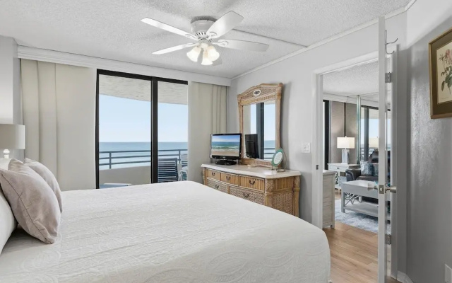 Sand Dollar 501