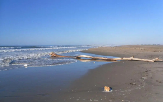 chambre les flamants