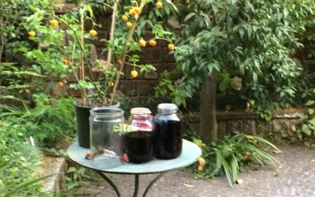 bed & breakfast Casa Damiani