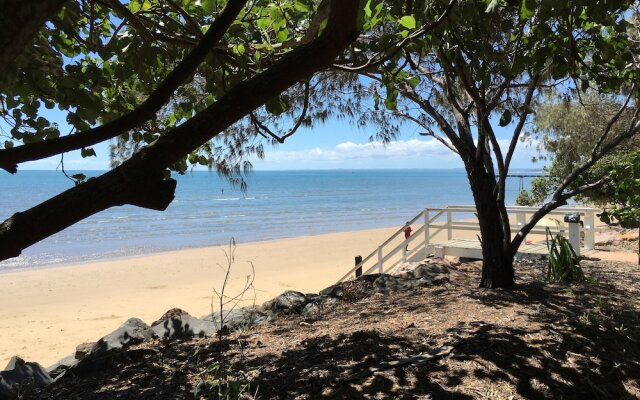 Coconut Palms On The Bay