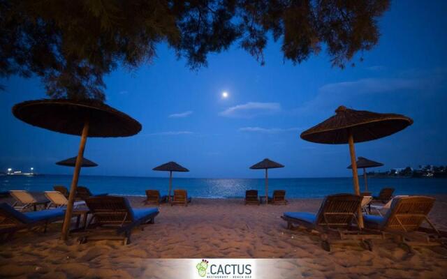 cactus beach paros
