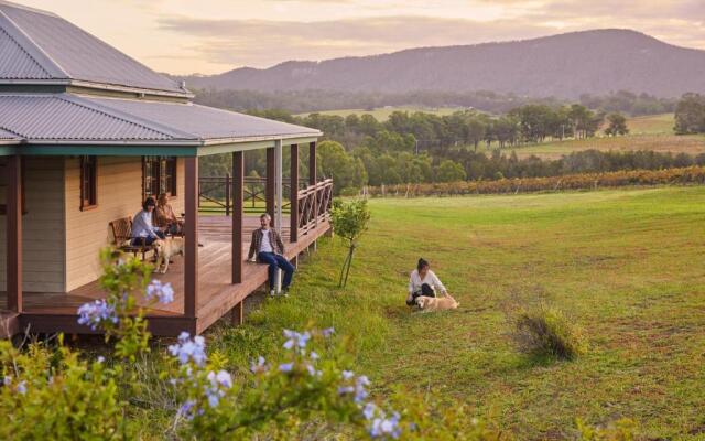 Hanging Tree Wines