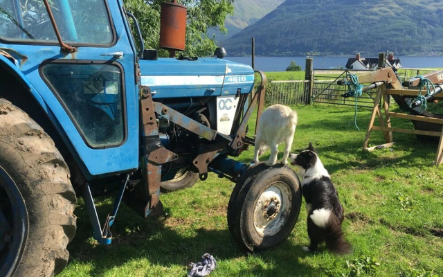 Highland Croft