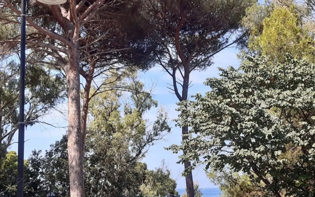 B&B Posidonia