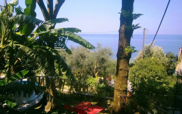 Pantazis Studios