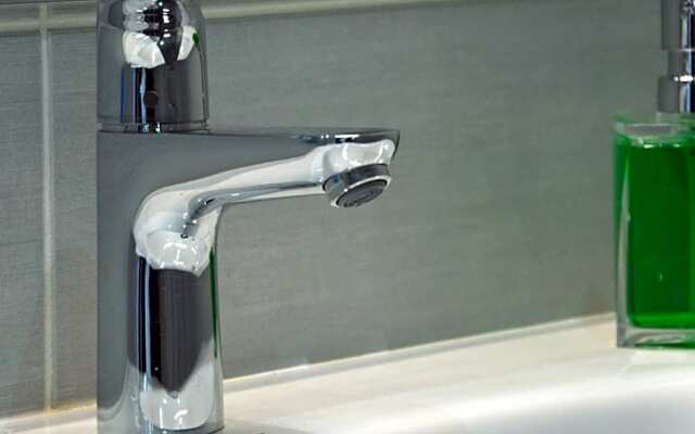 Le MOULIN des CHARTREUX - 1733