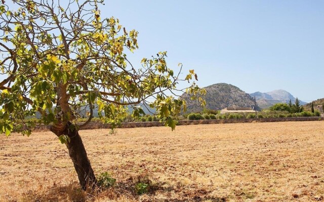 Villa - 3 Bedrooms with Pool and WiFi - 103191