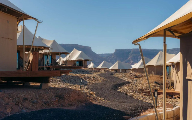 Zion Wildflower, BW Premier Collection