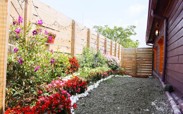 Seeking - Alishan Sunrise