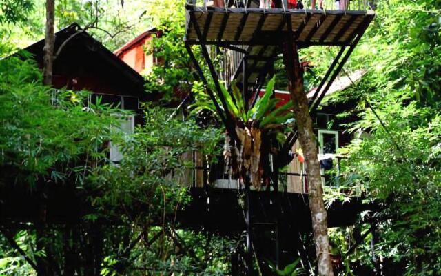 Khaosok Treehouse Resort