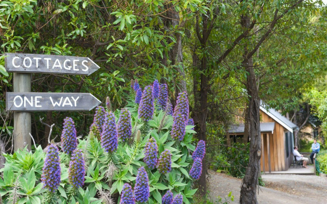 Akaroa Cottages