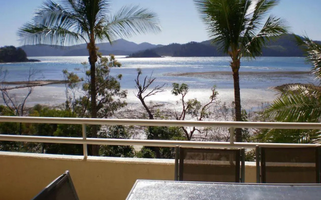 Frangipani 103