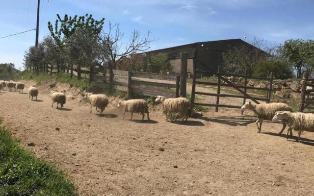 Casa Della Zia Rosa (Adults Only)