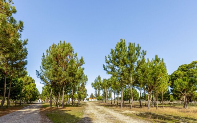 Quinta De Santa Emilia Monte Da Volta