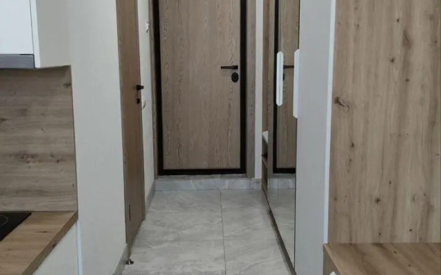 Studio apartments on 41 Tolstogo Street