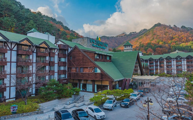 Osaek Greenyard Hotel