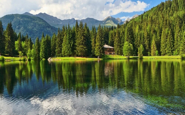 Apartment in Pellizzano