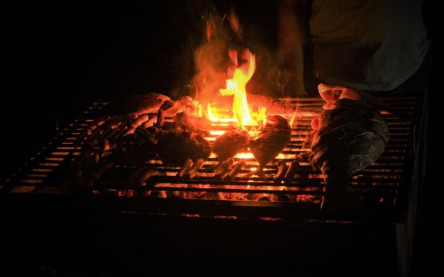 Yala Wilderness Safari Camp