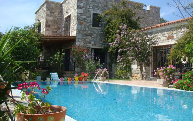 Important Group Villa Citrus