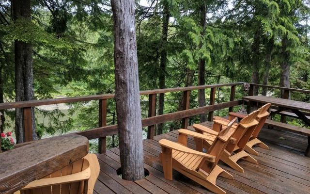 Wild Pacific Waterfront Cabins