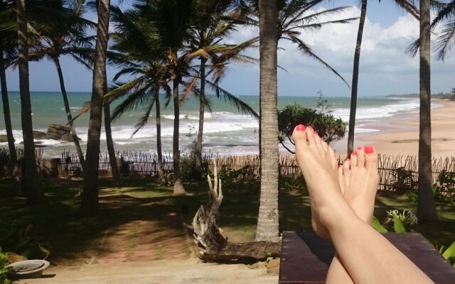 Turtle Bay