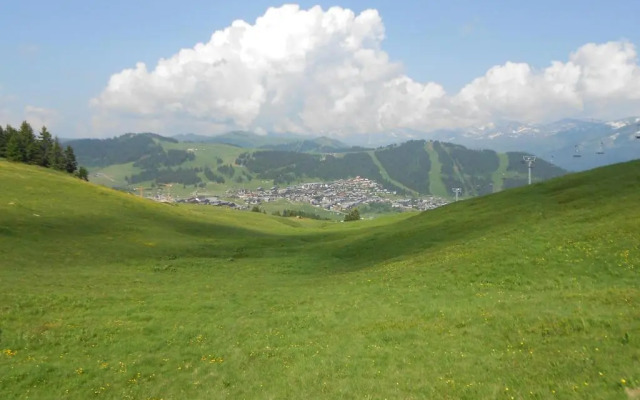 Hôtel Chalet Le Caribou