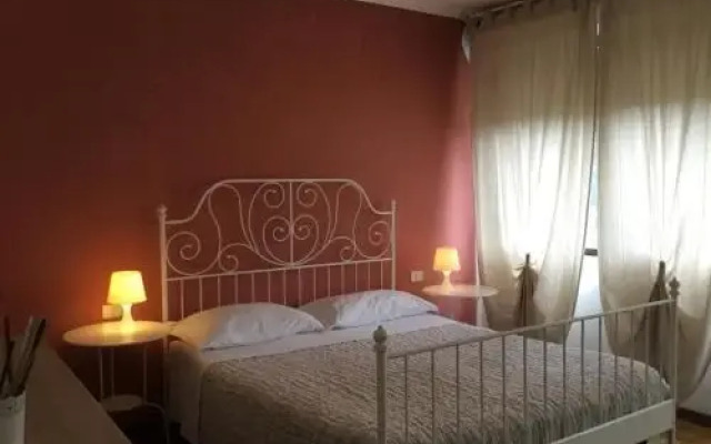 BB Casa Tomato