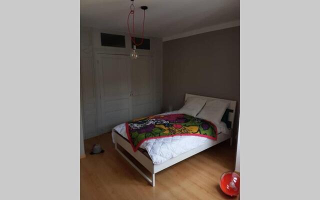 Tulle : bel appartement lumineux en centre ville