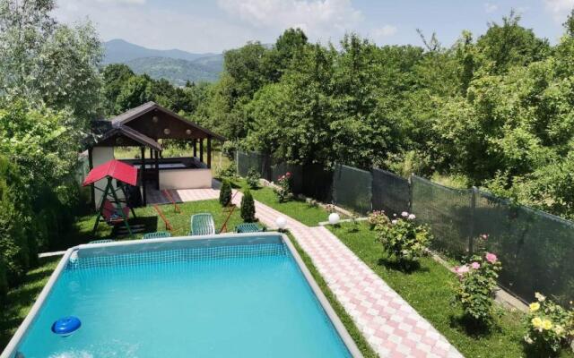 Casa David Comarnic