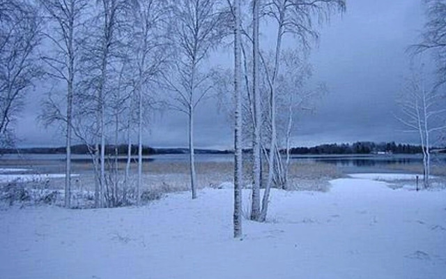 Patrakka H Meenlinna