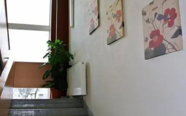 Europe Hostel