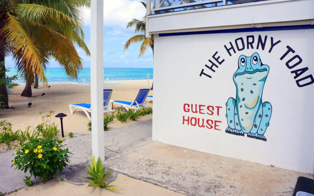 The Horny Toad Guesthouse