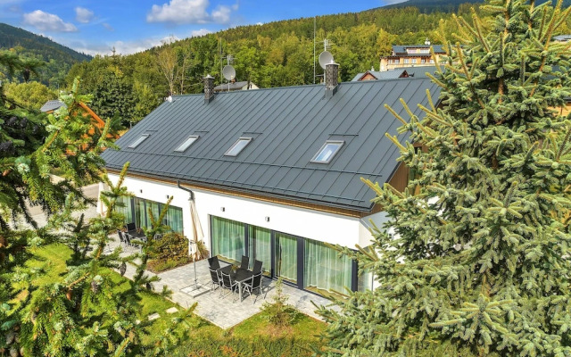Villa in Austria Near Ski Slopes
