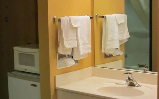 Microtel Inn & Suites Amarillo