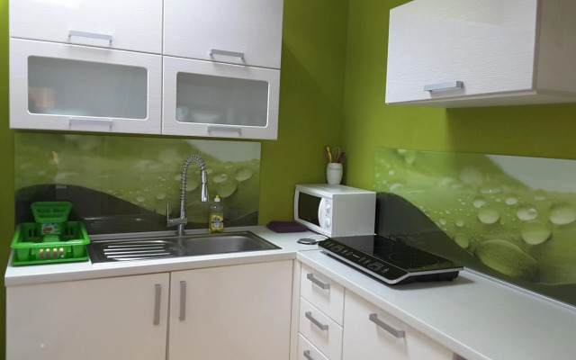 DELUX duplex apartment