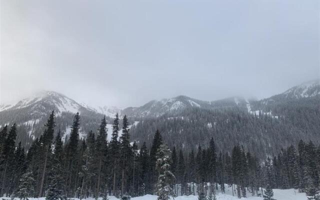 Wheeler Peak 401