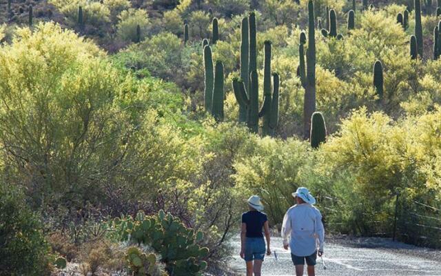 Tucson Vacation House in a Wildlife Sanctuary