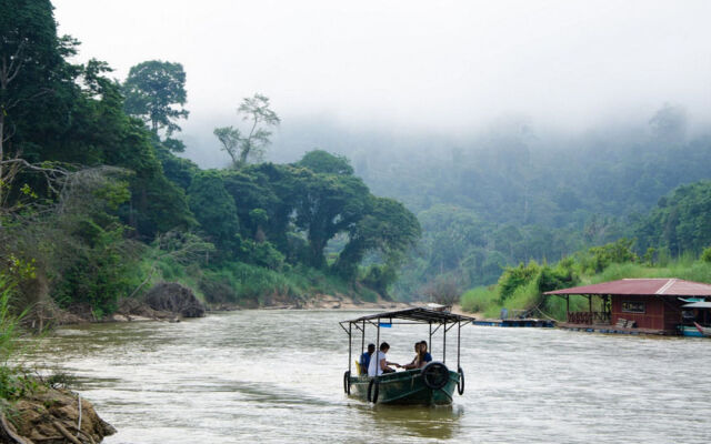 Mutiara Taman Negara